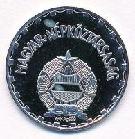 1970. 2Ft Ag jelzett replika (~3,08g/0.999) T:PP kis fo