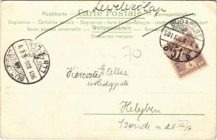 1901 Art Nouveau lady with fashion hat. litho s: Raphael Kirchner (EK)