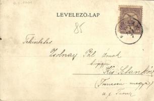 1901 Nagylak, Nadlac; Evangélikus templom, Pálika utca és az állami iskola. Kapható Friedrich G. és ...