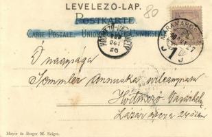 1900 Máramarossziget, Sighetu Marmatiei; Madártávlatból. Szecessziós virágos litho keret. Mayer és B...
