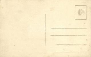 Tihany, kiránduló család csoportképe a dombokon. photo