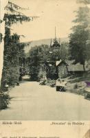 Málnásfürdő, Malnas-Bai; Hercules fürdő és fősétány / main promenade, spa (felszíni sérülés / surface damage)