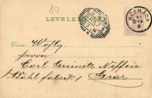 1899 Késmárk, Kezmarok; Rathaus u. obere Schlossgasse, Késmárk mit hoher Tatra, Hauptplatz, Neues Ly...