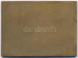 Gács Lajos (1905-1981) 1936. "Nemzetközi Sporthét a Balatonon 1936" egyoldalas Br plakett ...