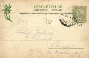 1907 Zakárfalva, Zakaróc, Zsakaróc, Zakarovce; Főhercegi vasgyárak. Kiadja Feitzinger Ede 726. 1904-...