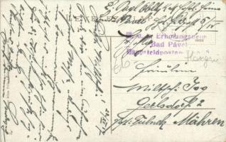 Szlatinafüred, Slatina (Aknaszlatina, Máramaros); Pável sósfürdő / spa hotel + "K.u.K: Erholung...