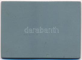 1942. "Ukrajnai síkiképzés emlékére" egyoldalas hadifém katonai sport emlékérem (49x69mm) ...