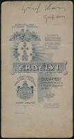 vajki gróf Vass János Lajos Florián (1873-1936) jogász, vallásügyi miniszter kabinet fotója, sérülés...