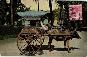 1911 Ceylon, Sri Lanka; Bullock Hackery, folklore. TCV card