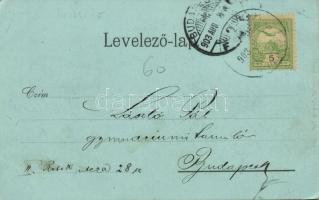 1903 Végles, Véghles, Véglesváralja, Podvígles, Víglas; Schloss Véghles / Véghlesi vár, Frigyes főhe...