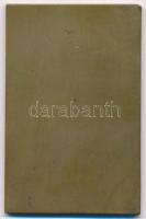 Berán Lajos (1882-1943) ~1920. "Magyar Sí Klub" egyoldalas Br plakett (61x40mm) T:1-