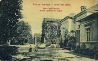 1909 Lovrin, Báró Lipthay kastély. W. L. 1263. / Baron Lipthaysches Kastell / castle (EK)