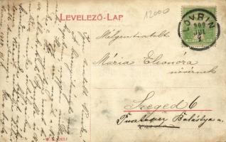 1909 Lovrin, Báró Lipthay kastély. W. L. 1263. / Baron Lipthay'sches Kastell / castle (EK)