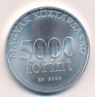 2009. 5000Ft Ag "Radnóti Miklós" tanúsítvánnyal T:BU
Adamo EM220