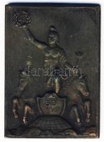 DN "UTE-60 év" szögletes Br plakett. Szign.Martinelli J. T:2