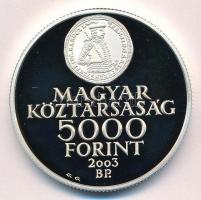 2003. 5000Ft Ag "Rákóczi szabadságharc 300. évfordulója" tanúsítvánnyal T:PP Adamo EM186
