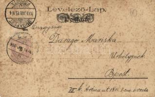 1900 Lady. Edgar Schmidt, Dresden-Budapest. Serie 7026. Art Nouveau (EK)