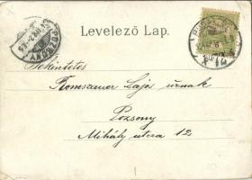 1904 Budapest V. Az új Országház, Parlament, gőzhajó. Art Nouveau, litho (kopott sarkak / worn corne...