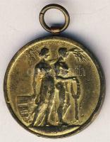 Cca. 1900-as évek eleje DN "Budapest Székesfőváris versenydíja" aranyozott Br díjérem. Szign.Szódy T:2-