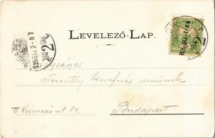 1905 Győr, Kazinczy utca, Fiume Kávéház, Máyr Gyula üzlete. Berecz Viktor üzlete (EK)