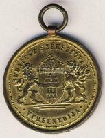 Cca. 1900-as évek eleje DN "Budapest Székesfőváris versenydíja" aranyozott Br díjérem. Szi...