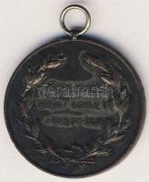CCa. Századforduló DN "Törekvés Sport-Egylet verseny-díja" Br díjérem T:2-