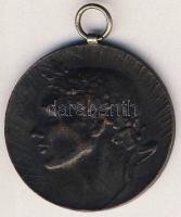 CCa. Századforduló DN "Törekvés Sport-Egylet verseny-díja" Br díjérem T:2-