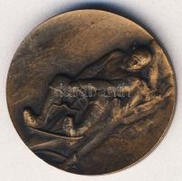 CCa. Századeleje DN "Tátra-Club Tátralomnic" Br díjérem T:2