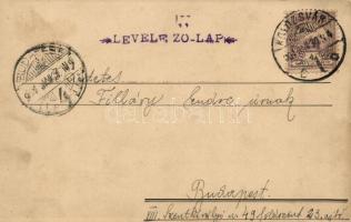 1901 Kolozsvár, Cluj; kézzel rajzolt és színezett művészlap / hand-drawn and colored art postcard (v...