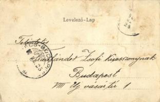 1902 Trencsénteplic, Trencianske Teplice; nyaralók. Gansel Lipót kiadása. K. 206. Szecessziós virágo...