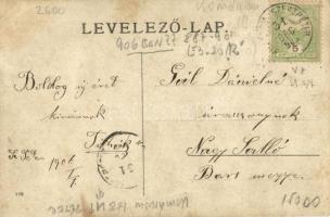 1906 Komáromszentpéter, Szentpéter, Dolny Peter, Svaty Peter, Sväty Peter; nyaraló, ház udvara a tul...