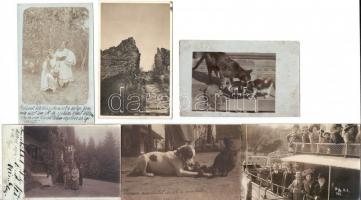 35 db RÉGI családi fotó képeslap, vegyes minőség / 35 pre-1945 family photo postcards, mixed quality
