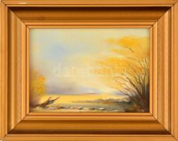 Varga György (?-?): Őszi táj. Olaj, farost, jelzett, keretben, 12×16 cm