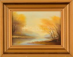 Varga György (?-?): Őszi táj. Olaj, farost, jelzett, keretben, 12×16 cm