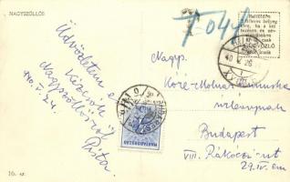 1940 Nagyszőlős, Nagyszőllős, Vynohradiv (Vinohragyiv), Sevljus, Sevlus; terményraktár, Kankó várrom...