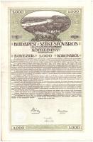 Budapest 1918. "Budapest Székesfőváros" kötelezvény 1000K-ról, magyar és német nyelven, sz...