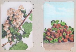 192 db régi és modern motívum képeslap régi szép képeslap albumban