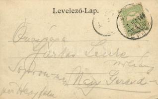 1905 Parádfürdő, Parád, Parád-gyógyfürdő; Gróf Károlyi kastély. Kiadja Klein Mór 167. (EK)