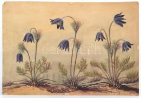 Wagner jelzéssel: Harangvirágok. Akvarell, papír, 25×36 cm
