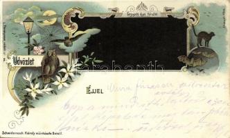 Üdvözlet Éjjel. Legújabb éjjeli fölvétel. Szecessziós művészlap bagollyal és denevérrel / Night view, Art Nouveau greeting art postcard woth owl and bat. Schwidernoch Károly floral, litho (vágott / cut)