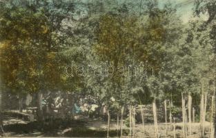 1915 Eger, Angolkisasszonyok egri intézetének parkja. Kiadja Divald Károly fia (EK)