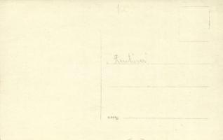 Osztrák-Magyar Monarchia haditengerészetének rombolója / K.u.K. Kriegsmarine Zerstörer / WWI Austro-...