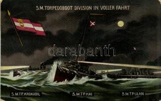 S.M. Torpedoboot Division in voller Fahrt: S.M. Tp. Krokodil, S.M. Tp. Hai, S.M. Tp. Ulan, K.u.K. Kriegsmarine / WWI Austro-Hungarian Navy torpedo boats at night. G. Fano Pola, 1909. No. 41. (EK)
