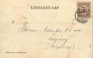 1900 Orosháza, Polgári iskola, könyvkereskedés üzlete. Kiadja Pless N. (fl)