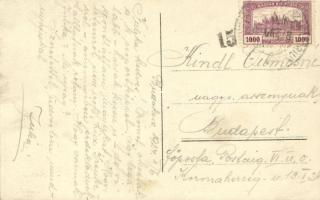 1924 Budakeszi, Erzsébet szanatórium. photo