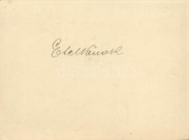 Arad, Deutsch & Lustig Pannonia Keményítőgyára. Szecessziós reklámlap. "Kosmos" Műinté...