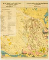 cca 1920 A tatabányai szénmedence bányaföldtani térképe. Rozlozsnik Pál. 1:12500 80x70 cm