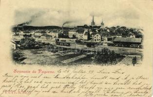 1899 Payerne (EK)