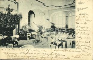 1899 Lucerne, Luzern; Hotel Schwanen / hotel, interior