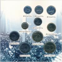 1996. 10f-100Ft (10xklf) "50 éves a forint" forgalmi sor dísztokban T:BU Adamo FO29